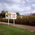 Beecher, Illinois  - Photograph by Jay Boersma