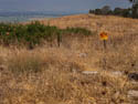 Golan Heights, Israel 2013