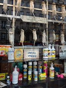 Shop Window, Paris 2012